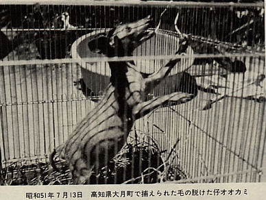 a2351211.jpg