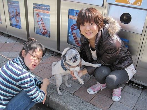$ピュアティマスターのアウトドアな1日