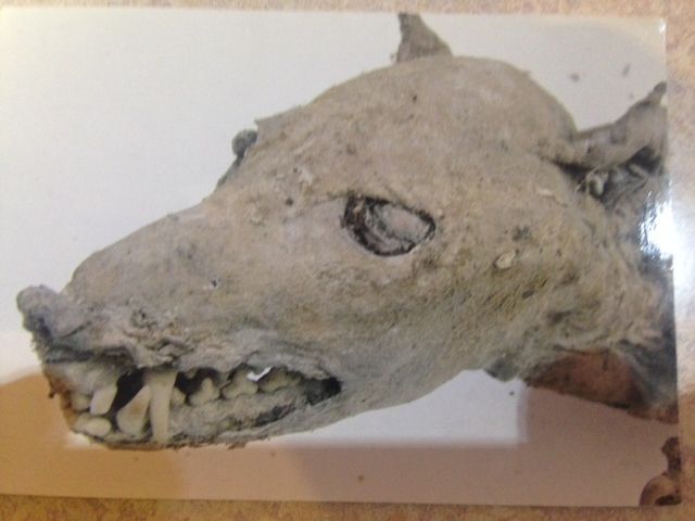 itumonotokoro15981