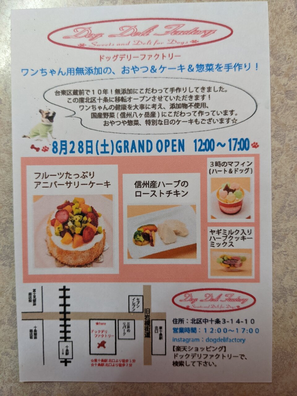 ワンちゃんのおやつやケーキのお店 十条猫物語り 猫写真集