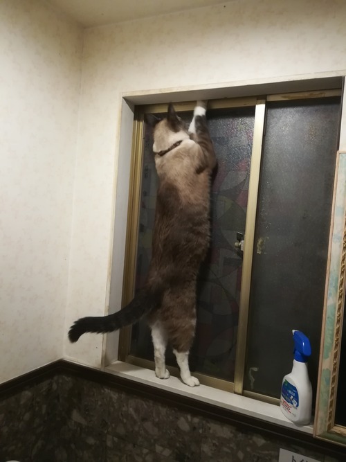 1071