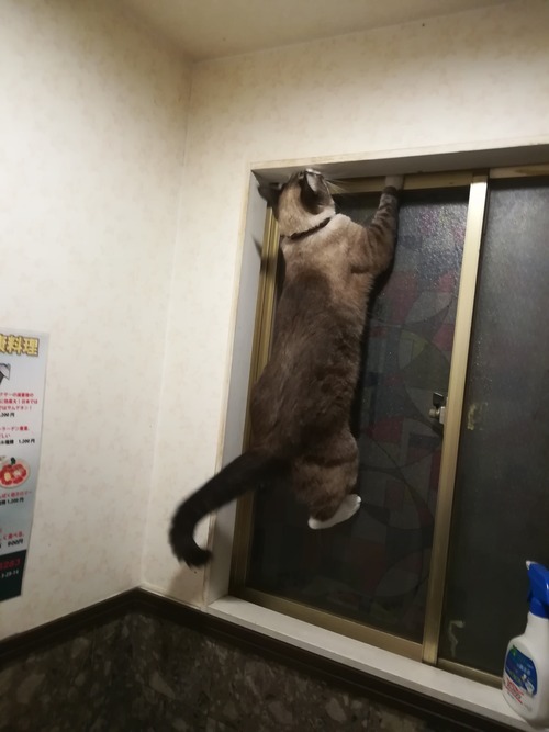 1070