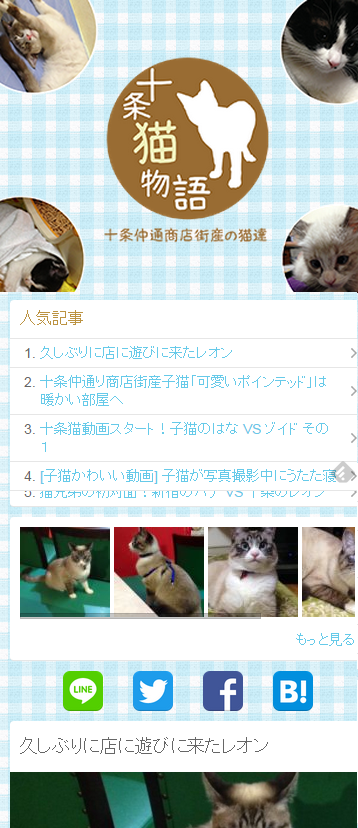 十条猫物語り~猫写真集~