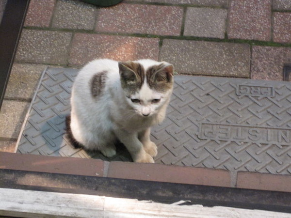 itumonotokoro132