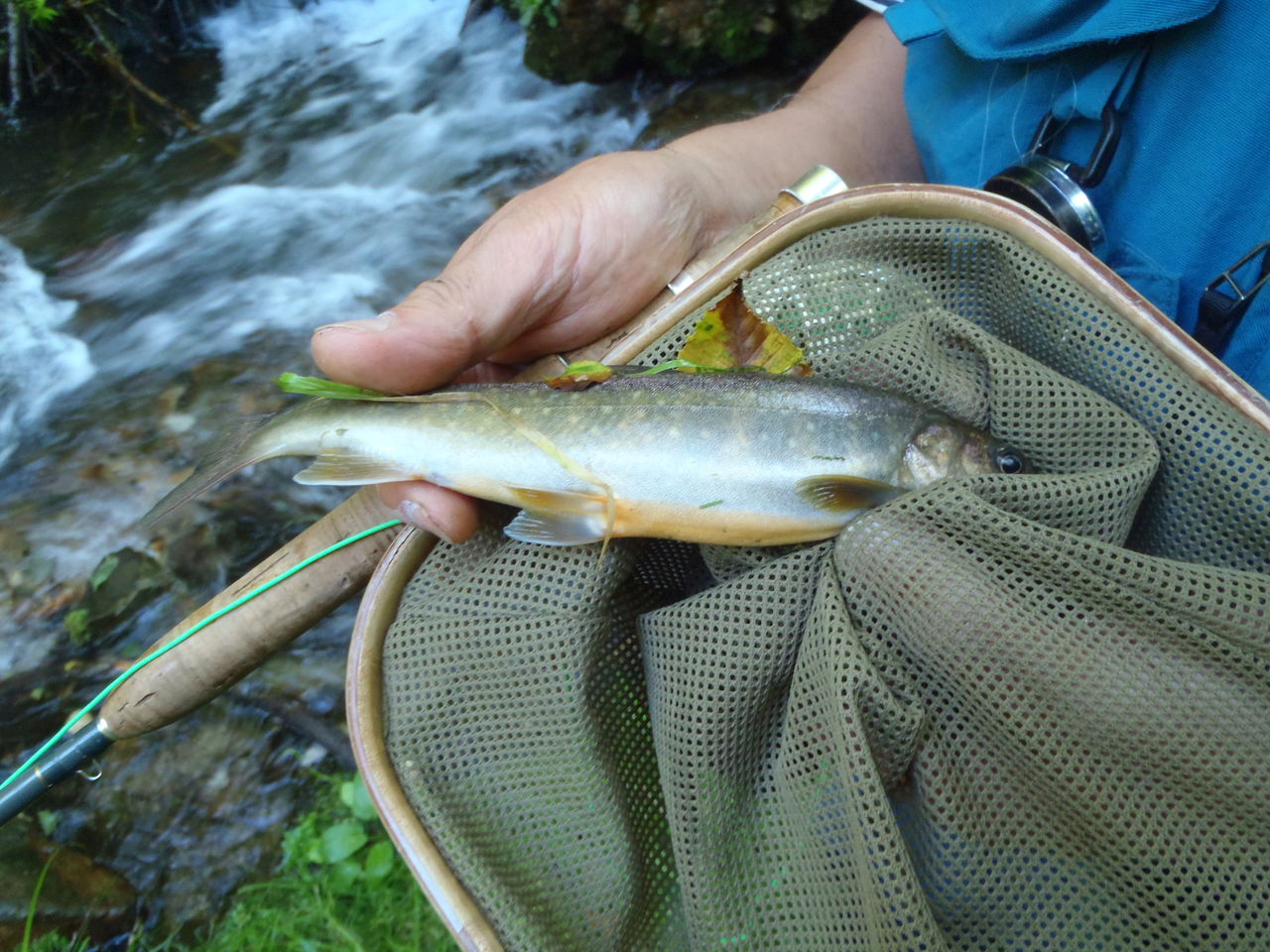 関東周辺の渓流釣り場 穴場スポット紹介 フライフィッシング特集 Flyfishing Plus ヤマメ イワナの宝庫探し 関東周辺の渓流釣り場 穴場スポット紹介 フライフィッシング特集 Flyfishing Plus ヤマメ イワナの宝庫探し