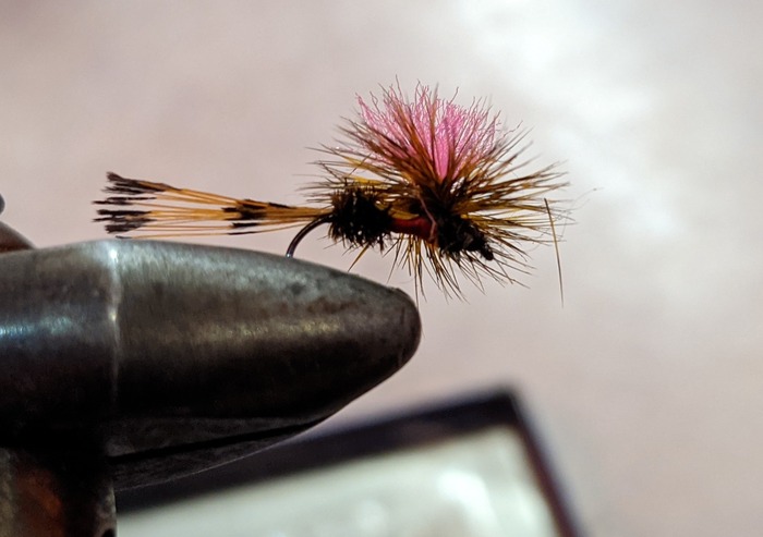 PXL_20210523_082428876