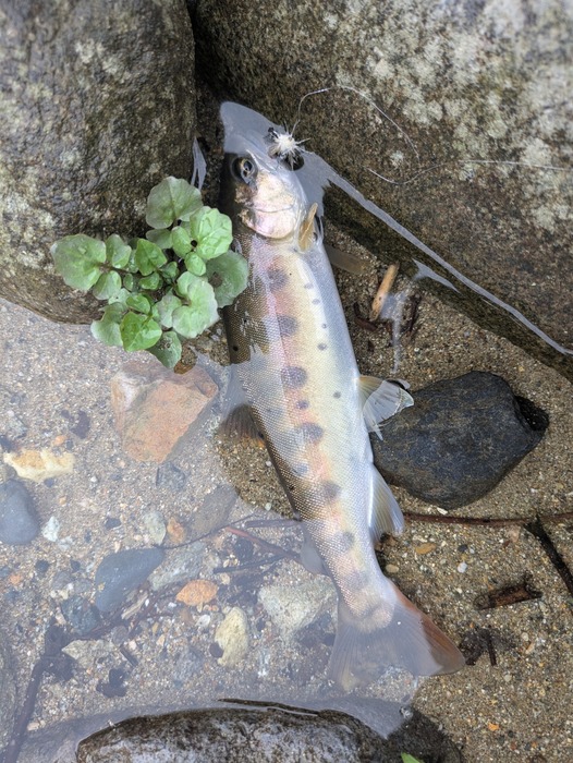 PXL_20250918_045310918