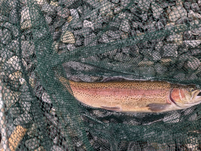 PXL_20241002_234758700