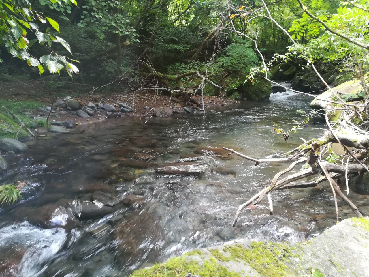 千曲川水系はしご釣り 18年8月19日 Flyfishing Plus ヤマメ イワナの宝庫探し 千曲川水系はしご釣り 18年8月19日 Flyfishing Plus ヤマメ イワナの宝庫探し