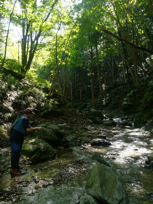 yamame,iwananohoukosagasi37347