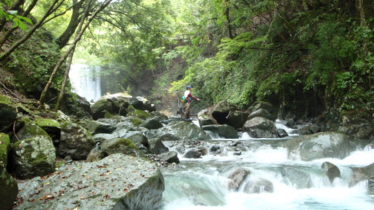 PA070017