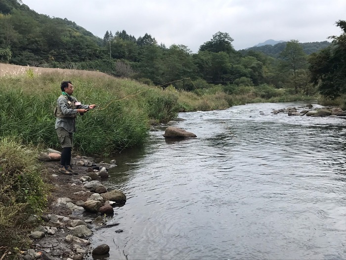 line_362446092550571
