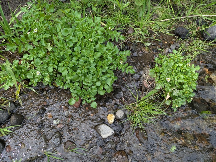 PXL_20250522_053850525