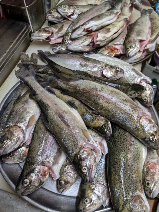 PXL_20241003_080325835