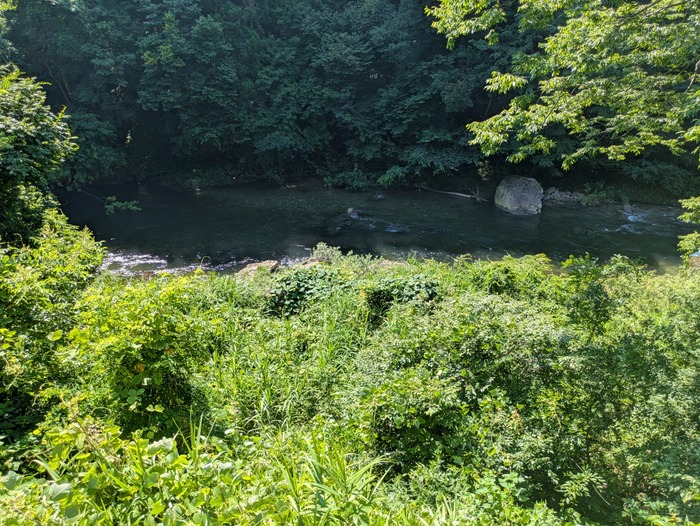 PXL_20250724_001802984