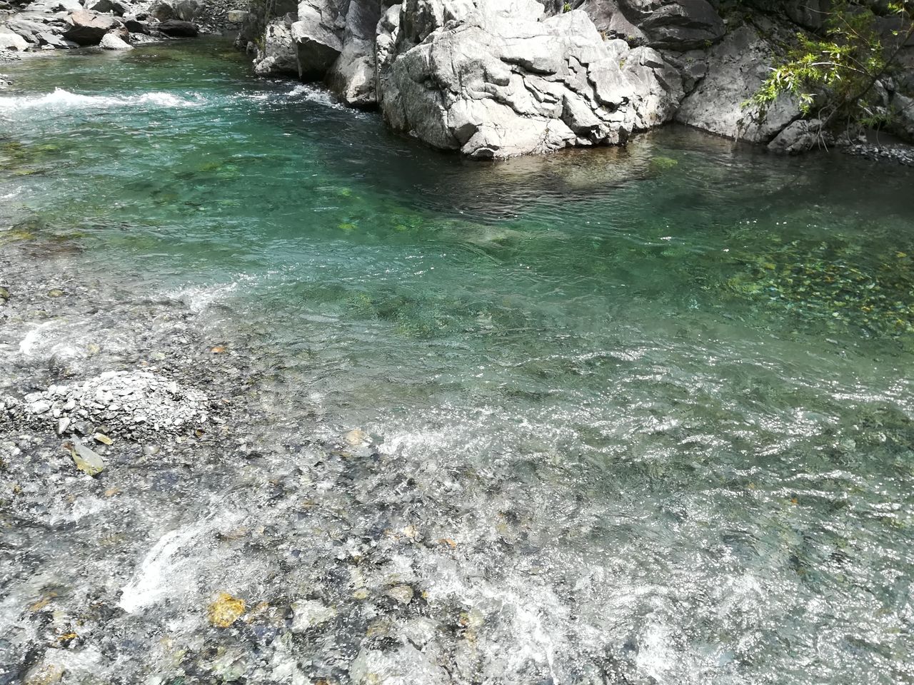 南アルプスの青い川 18年7月25日 Flyfishing Plus ヤマメ イワナの宝庫探し