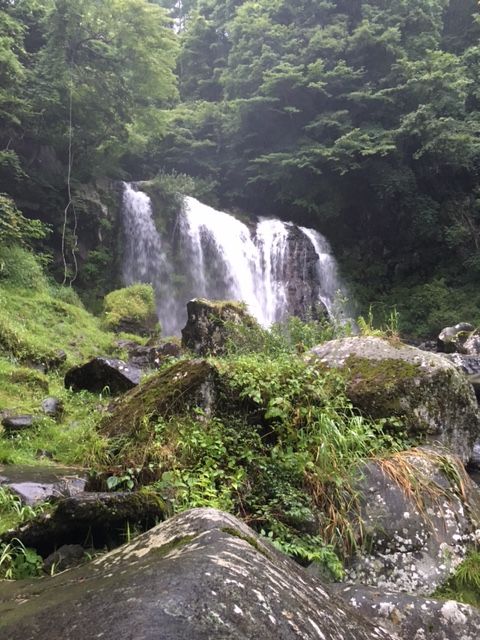 yamame,iwananohoukosagasi37253