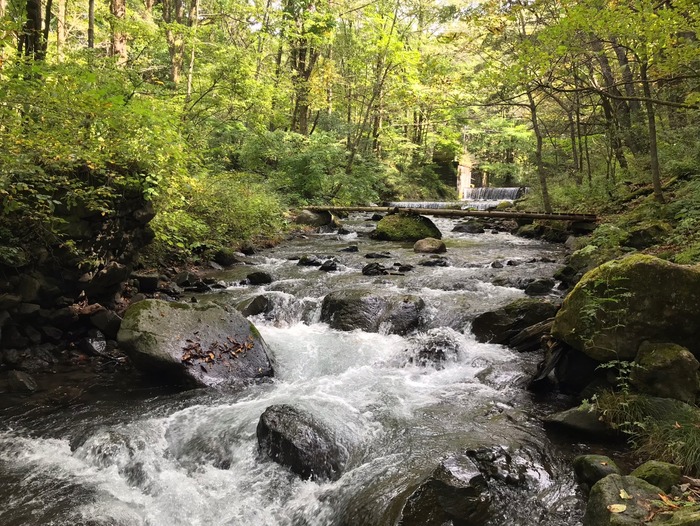 line_362444160832827