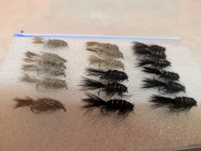 PXL_20250711_093444520