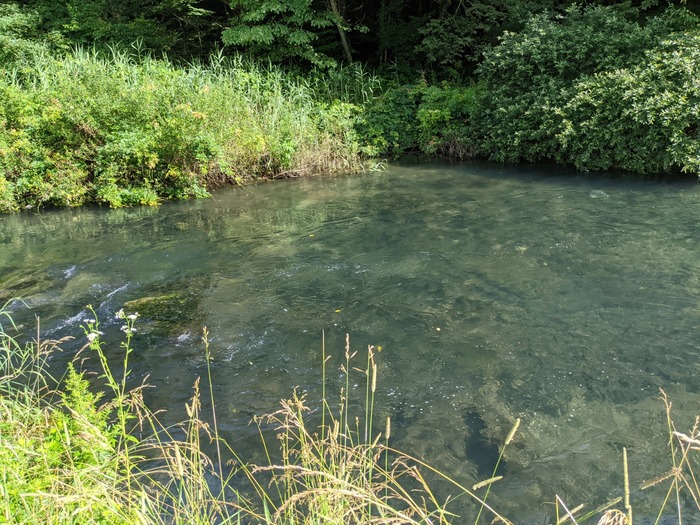PXL_20210715_063857599