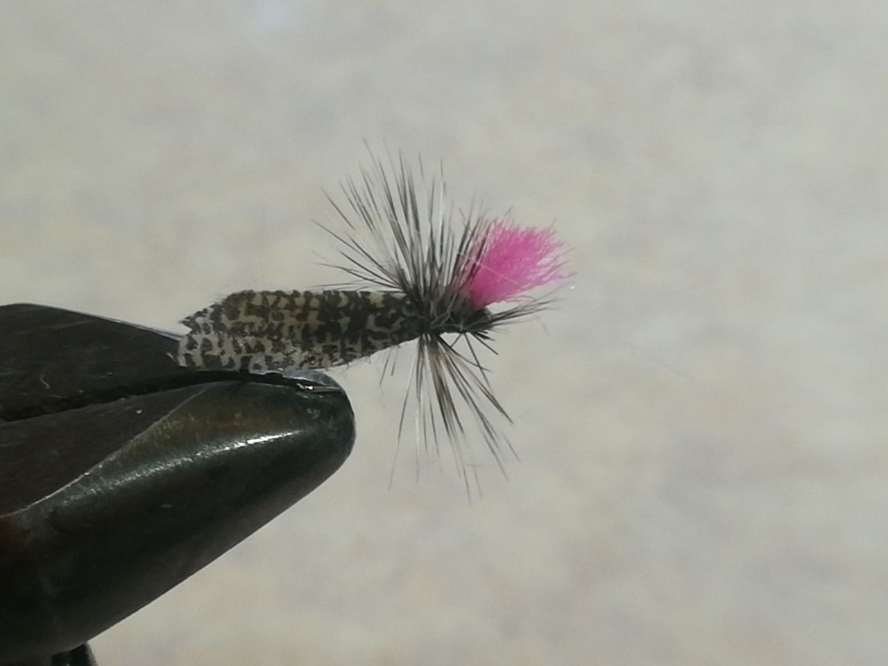 釣り予定 Flyfishing Flyfishing Plus ヤマメ イワナの宝庫探し