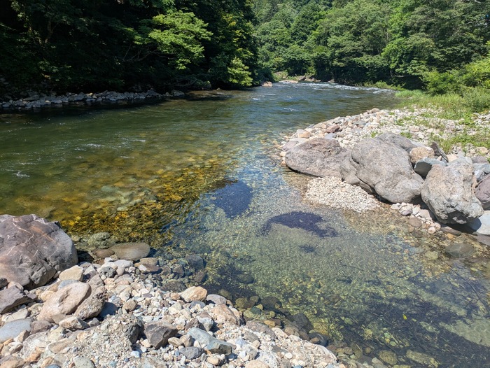 PXL_20250724_003755548