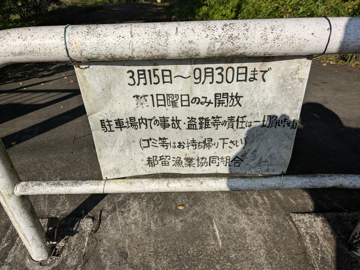 PXL_20240905_062334006