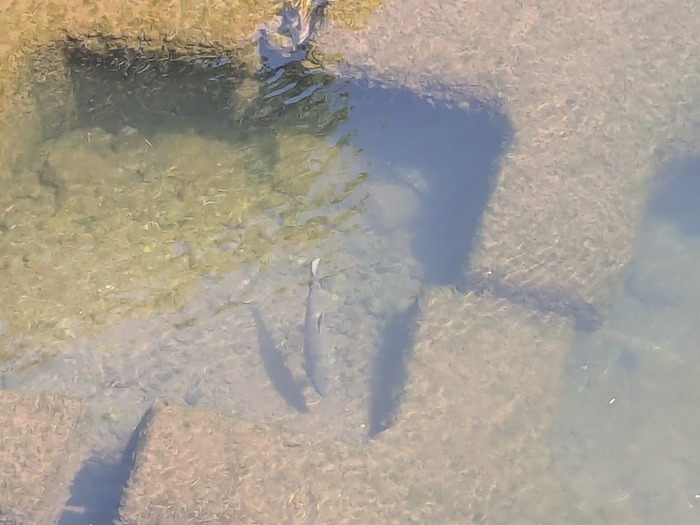 PXL_20240724_235541569