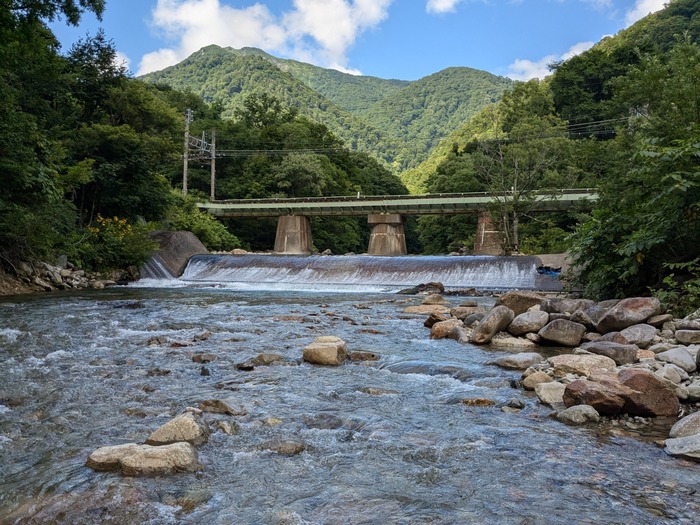 PXL_20240808_044649431