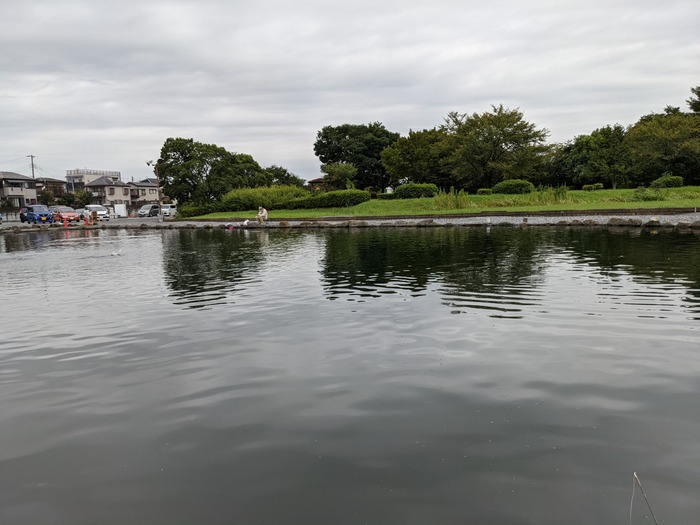 PXL_20210913_222743323