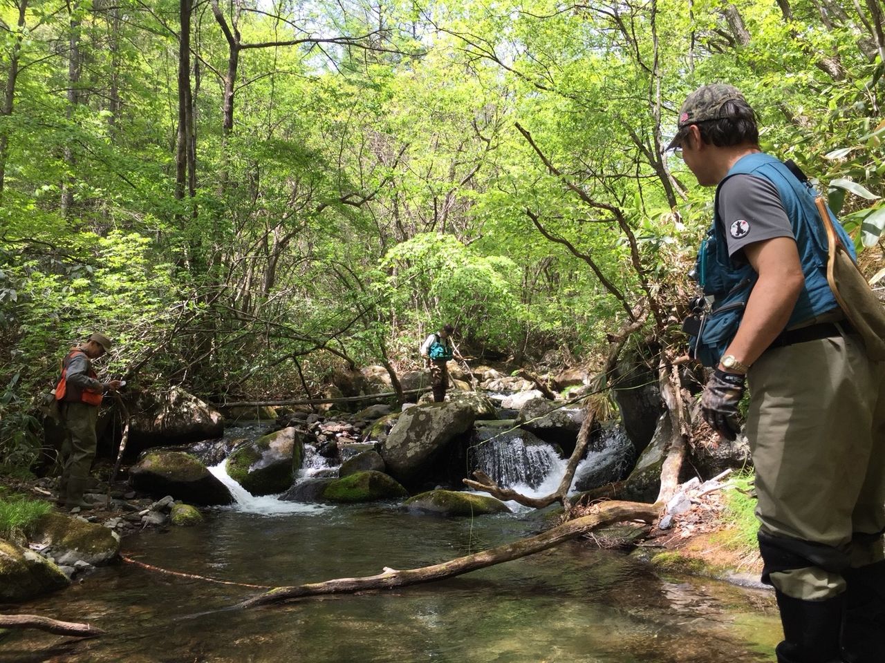 群馬県秘境釣り 18年5月16日 Flyfishing Plus ヤマメ イワナの宝庫探し 群馬県秘境釣り 18年5月16日 Flyfishing Plus ヤマメ イワナの宝庫探し