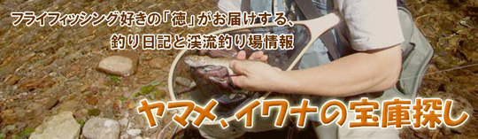 Top_img