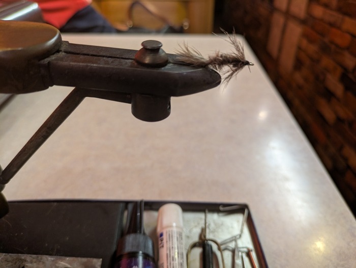 PXL_20250704_133949000