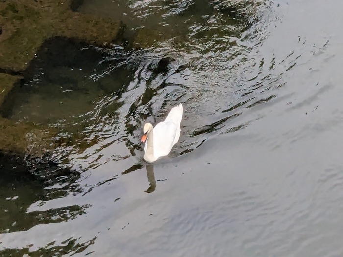 PXL_20240725_083401143