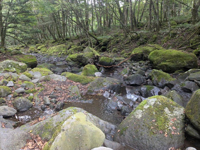 PXL_20240926_015554861