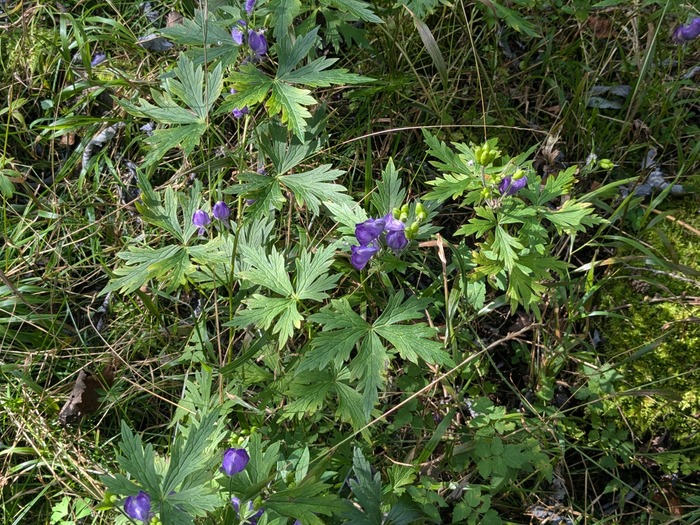 PXL_20240926_051152647