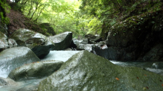 PA070015
