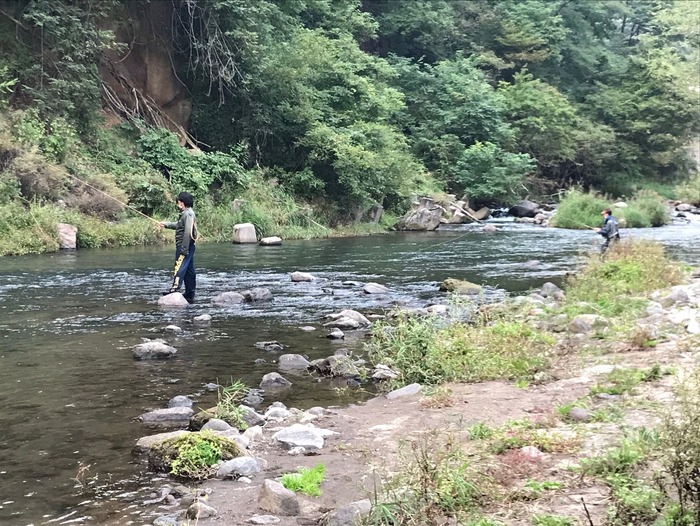 line_362446787593453