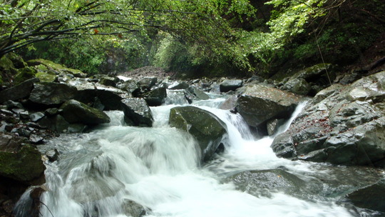 PA070016