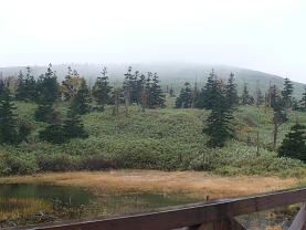 �����м�������