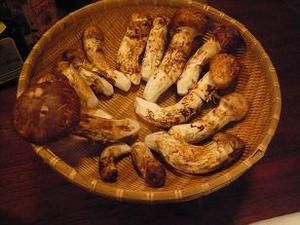 �Ĥ��ޤĤ���