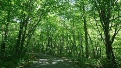 IMG_153248184604F
