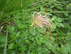 D�܎�������