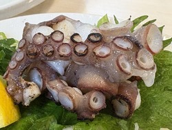 �ɼ��� �������׎�������