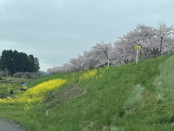 IMG_7607