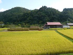 ���⿧�ΰ��椱������