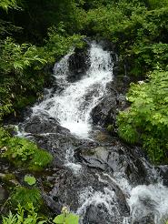 ���ıۤ���