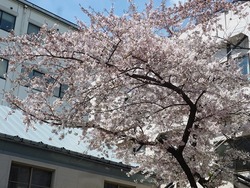 20160415����� (3)