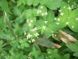 D���َώʎގ֎Ҏю��ގ�