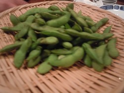 ダダ茶豆
